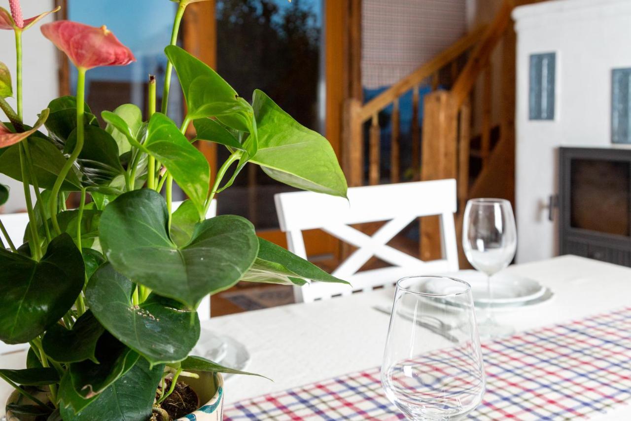 Casele Cu Stuf B&B Haus Ulrike Sălicea Eksteriør bilde