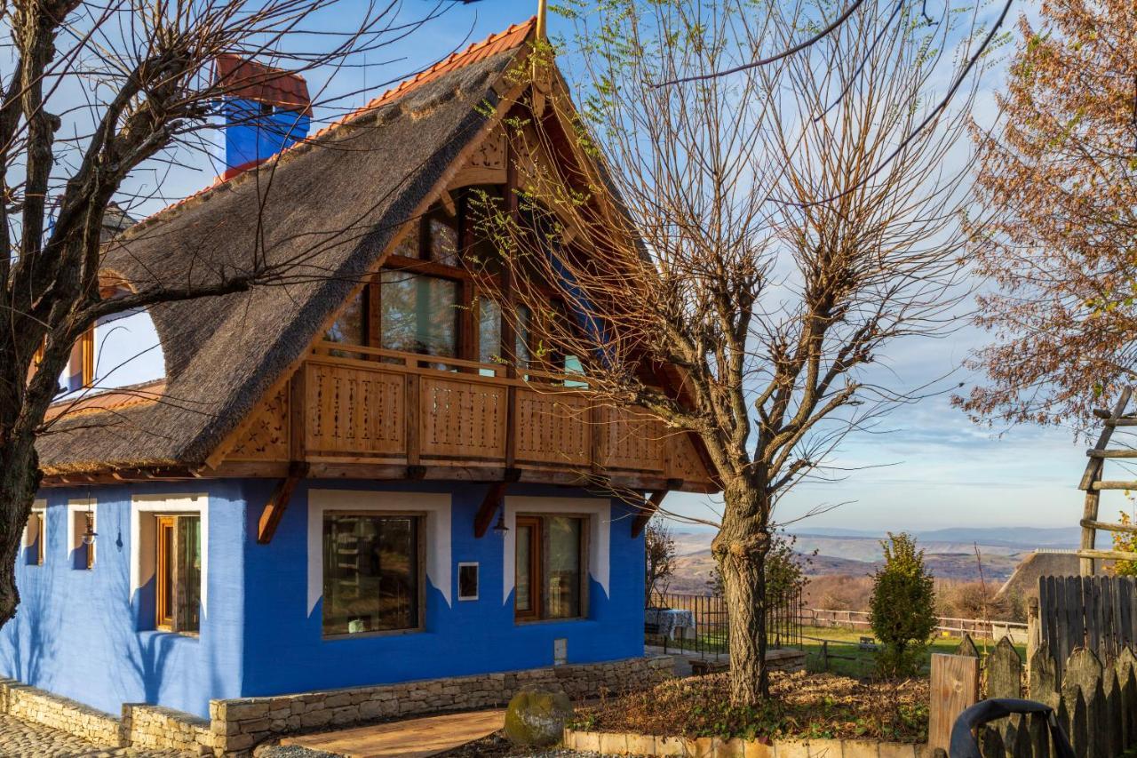 Casele Cu Stuf B&B Haus Ulrike Sălicea Eksteriør bilde