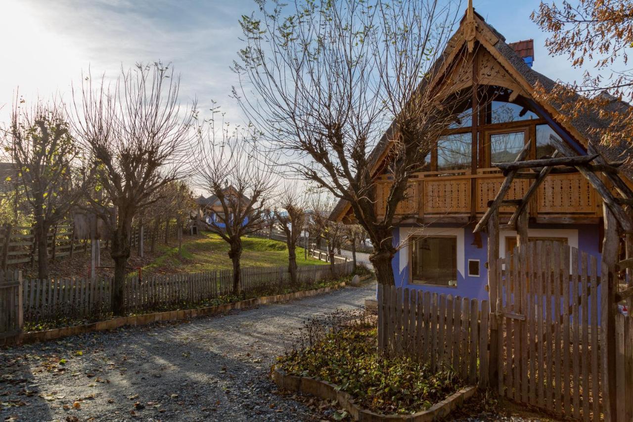 Casele Cu Stuf B&B Haus Ulrike Sălicea Eksteriør bilde
