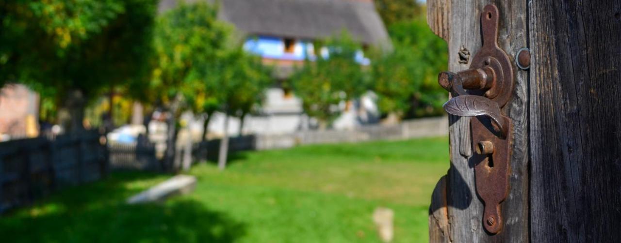 Casele Cu Stuf B&B Haus Ulrike Sălicea Eksteriør bilde