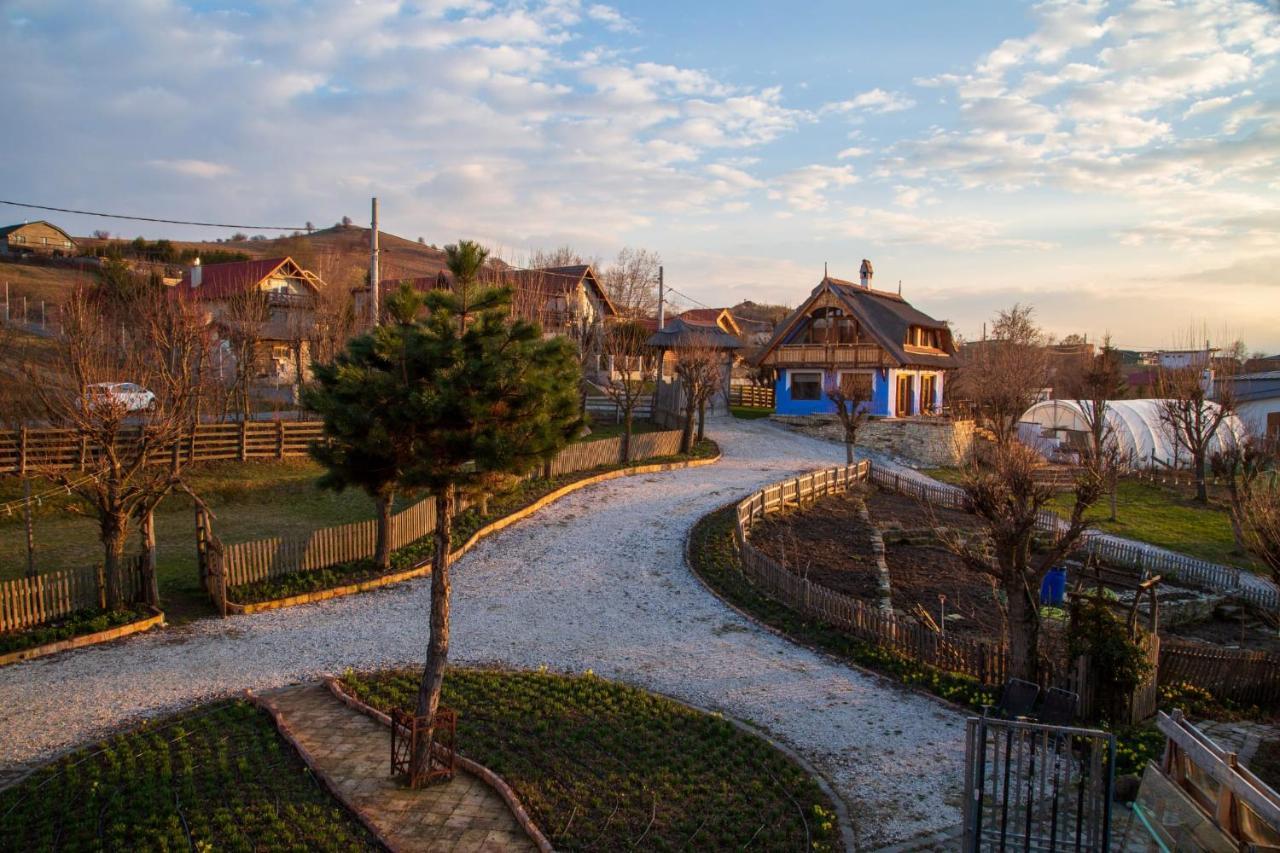 Casele Cu Stuf B&B Haus Ulrike Sălicea Eksteriør bilde