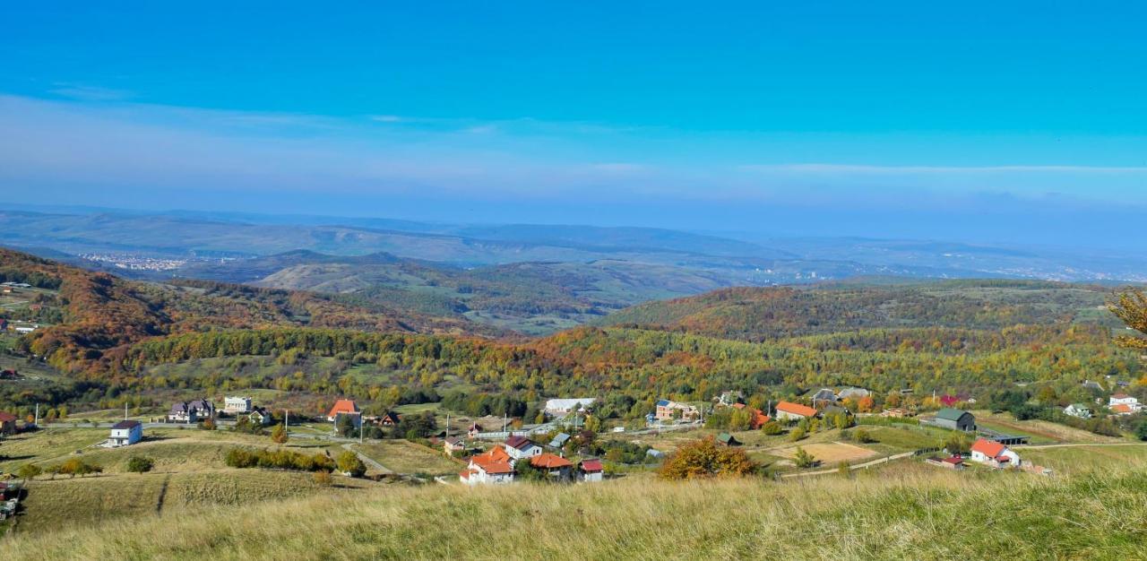 Casele Cu Stuf B&B Haus Ulrike Sălicea Eksteriør bilde