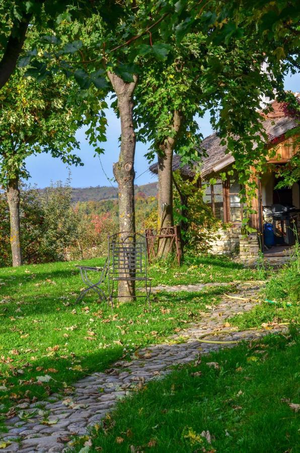 Casele Cu Stuf B&B Haus Ulrike Sălicea Eksteriør bilde