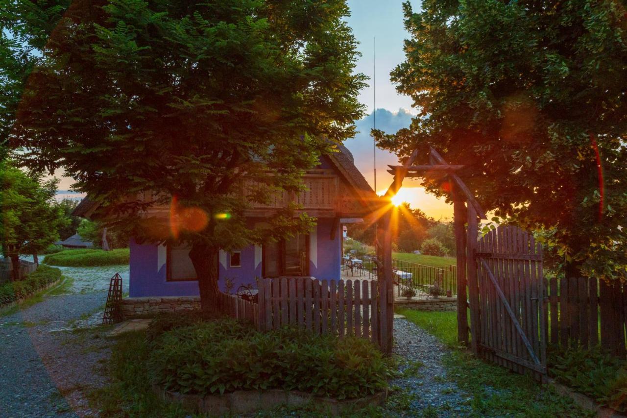 Casele Cu Stuf B&B Haus Ulrike Sălicea Eksteriør bilde