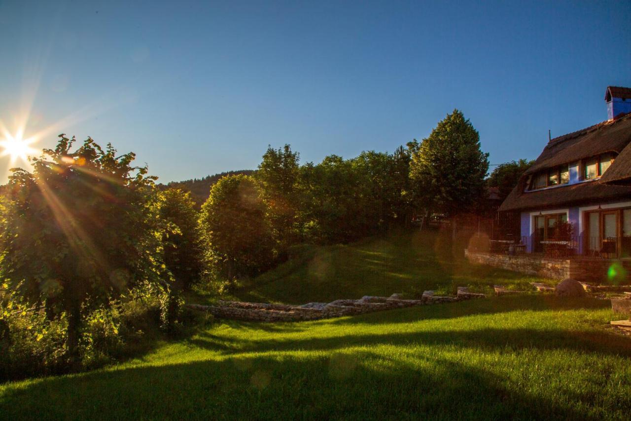 Casele Cu Stuf B&B Haus Ulrike Sălicea Eksteriør bilde